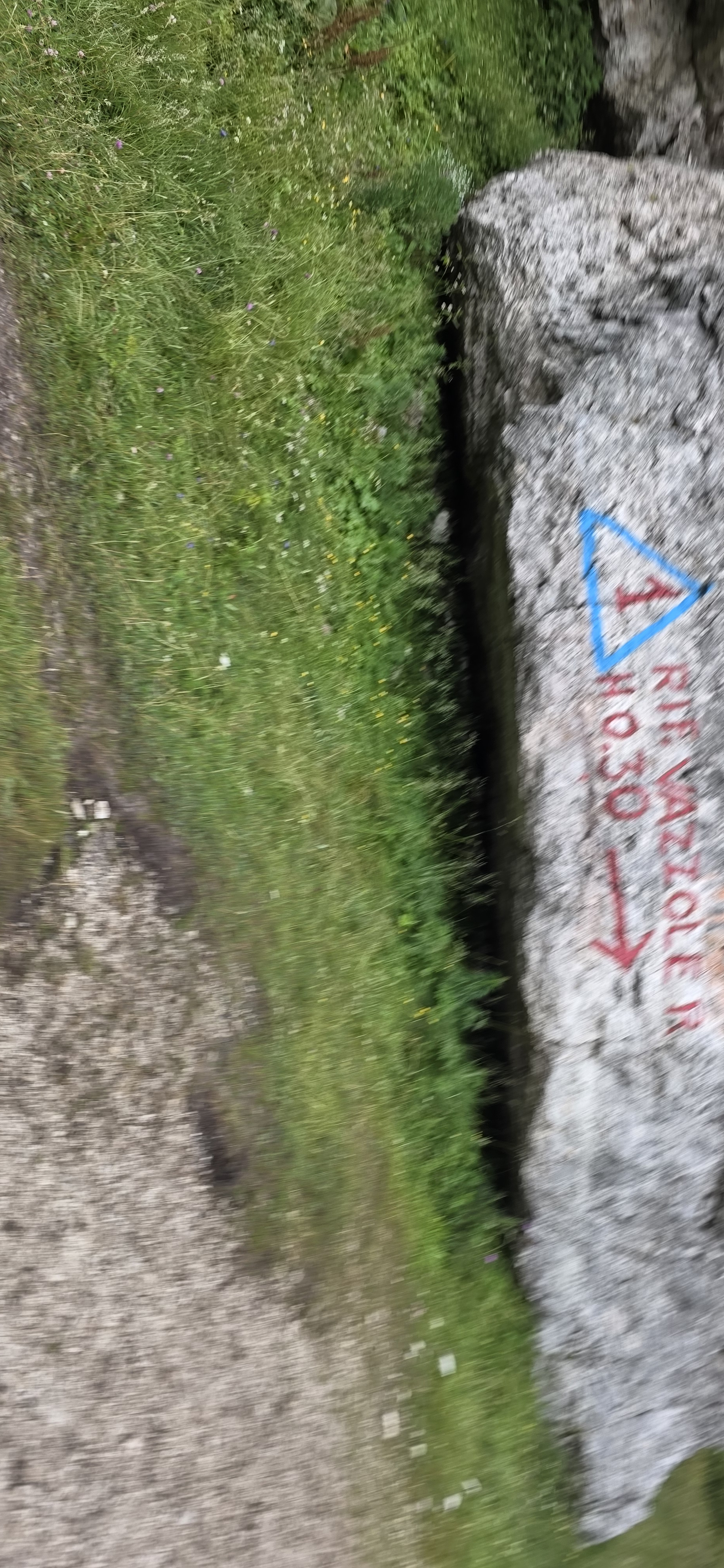 20250723083956