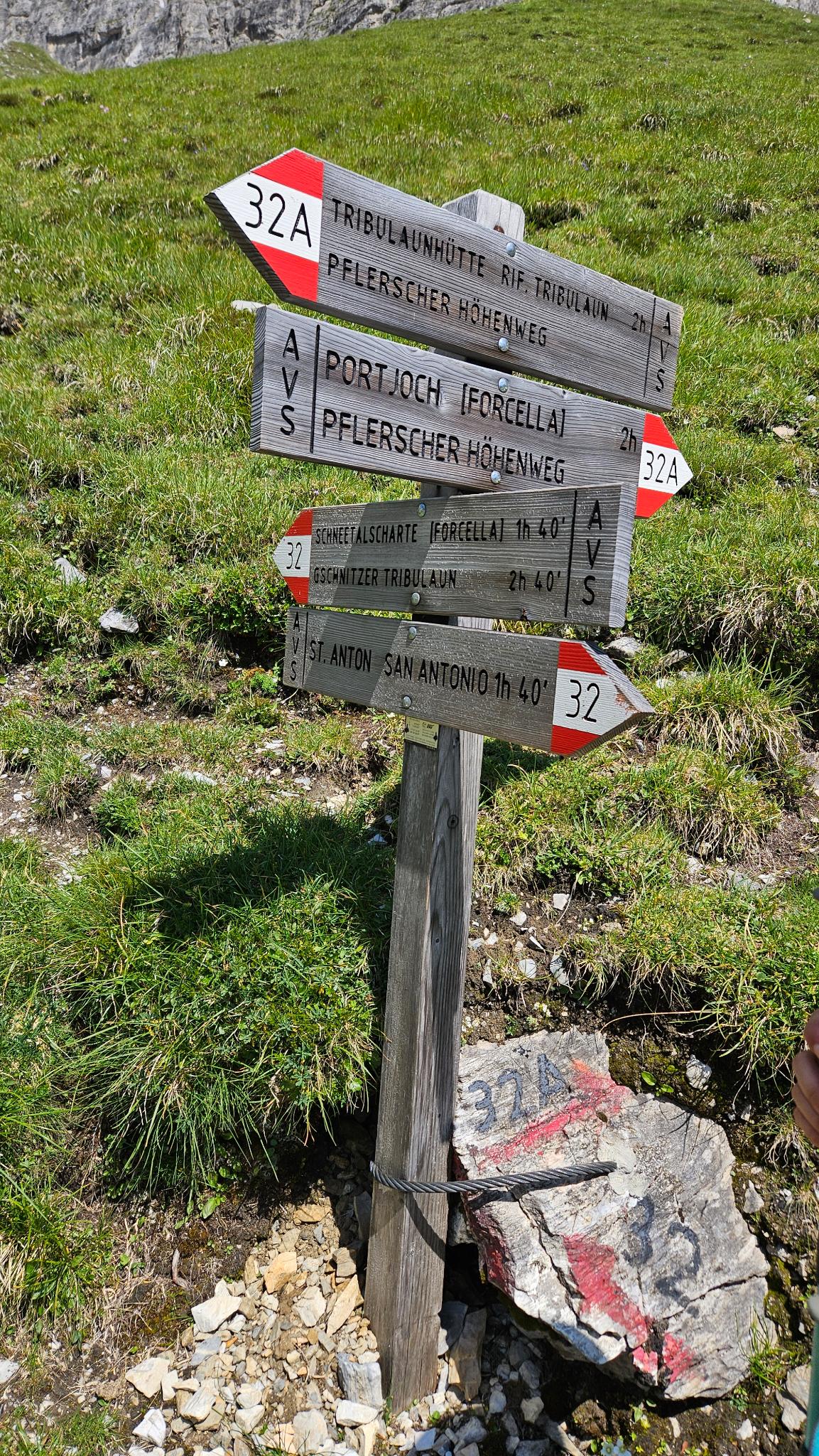 signal-2026-07-30-17-11-52-622-10